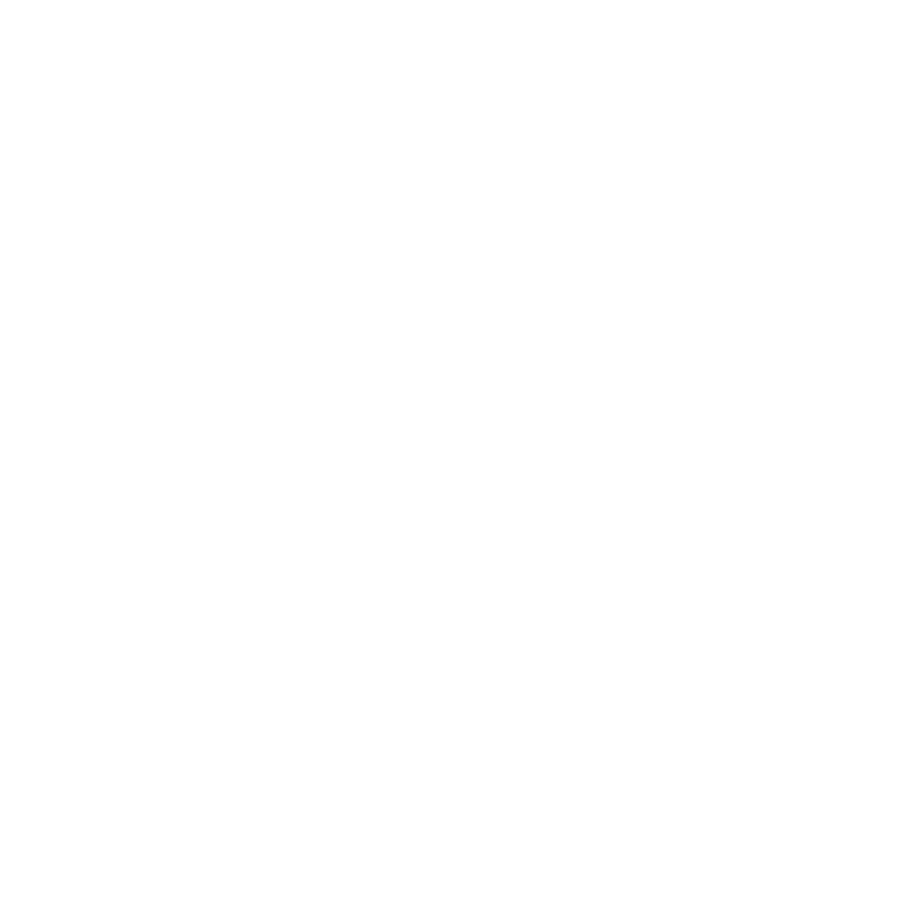 Logo-instagram-png-blanc.png